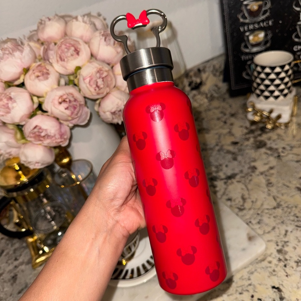 NEW Disney Steel Water Bottle with Clip